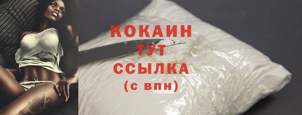 дживик Беломорск