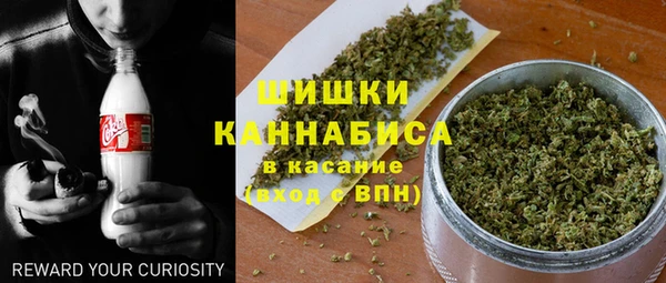 метадон Белокуриха