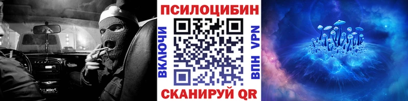 Галлюциногенные грибы мицелий  MEGA вход  Новая Усмань 